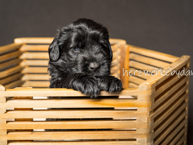 Frau Weiß nach 30 Tagen